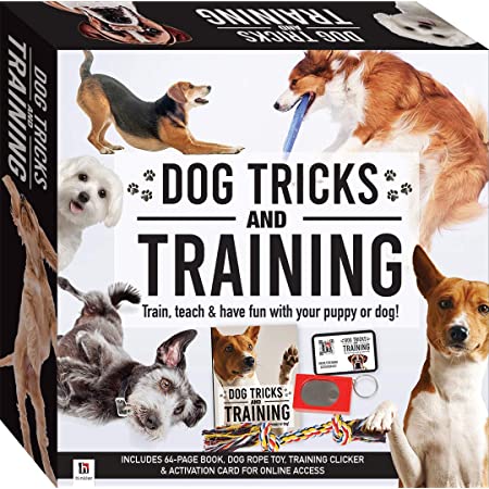 Puppy training kit best sale