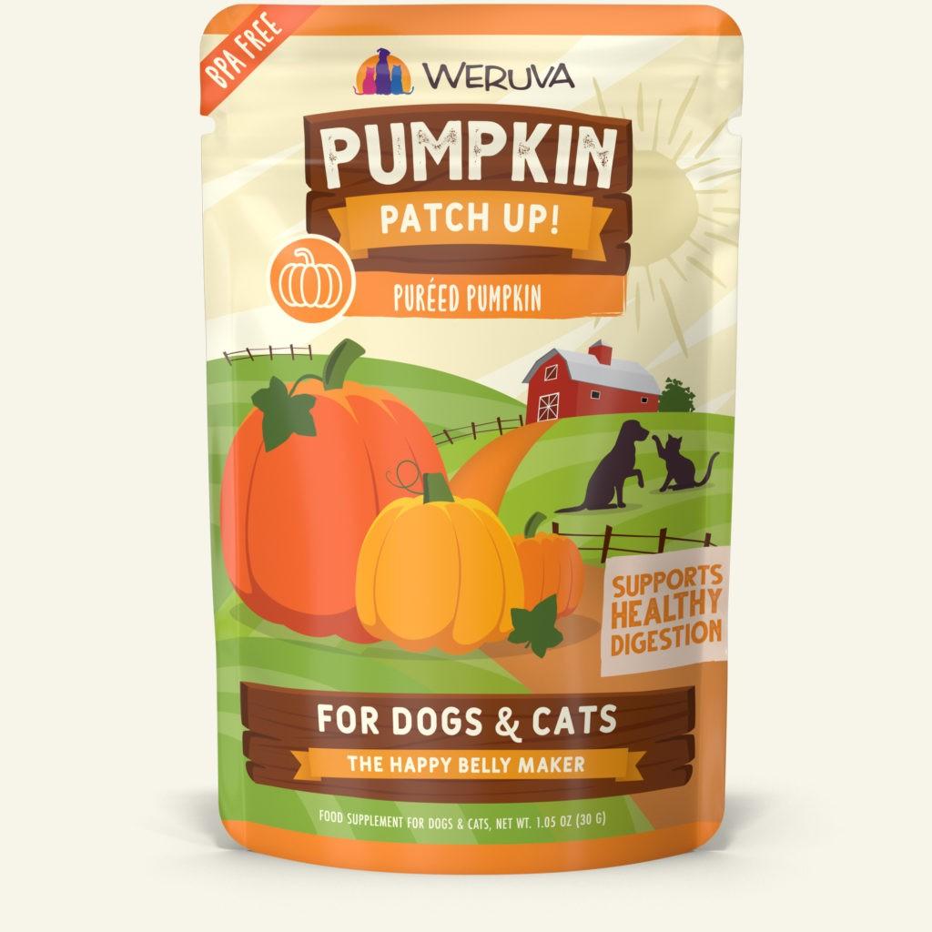 Pumpkin Patch Up Digestive Treats