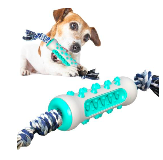 Pet Dental Toy